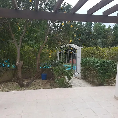 Lovely Garden *